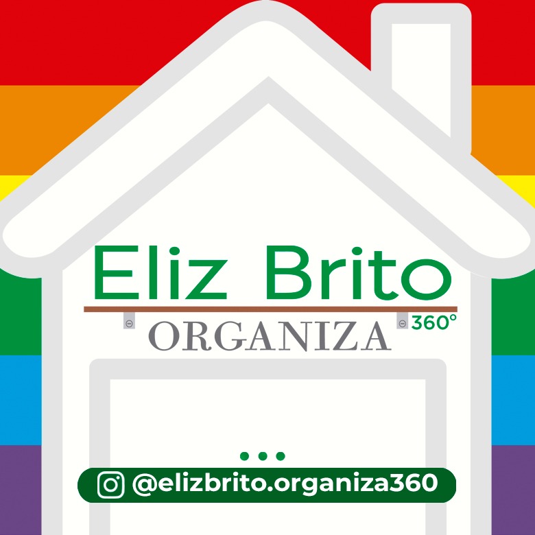 PERSONAL ORGANIZER - ELIZ BRITO ORGANIZA 360º